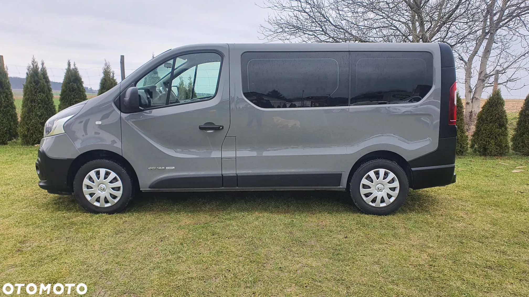 Renault Trafic - 6