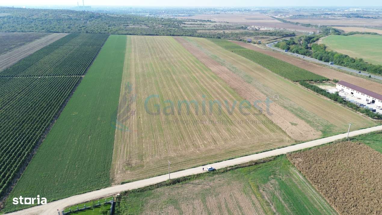 Teren intravilan de vanzare, langa Oradea, Bihor, Gaminvest, V4117-12