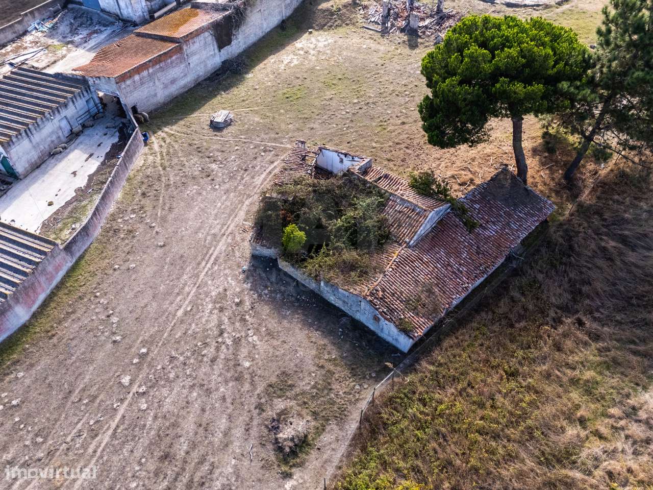 Terreno com ruína na Serra do Bouro - Grande imagem: 5/11