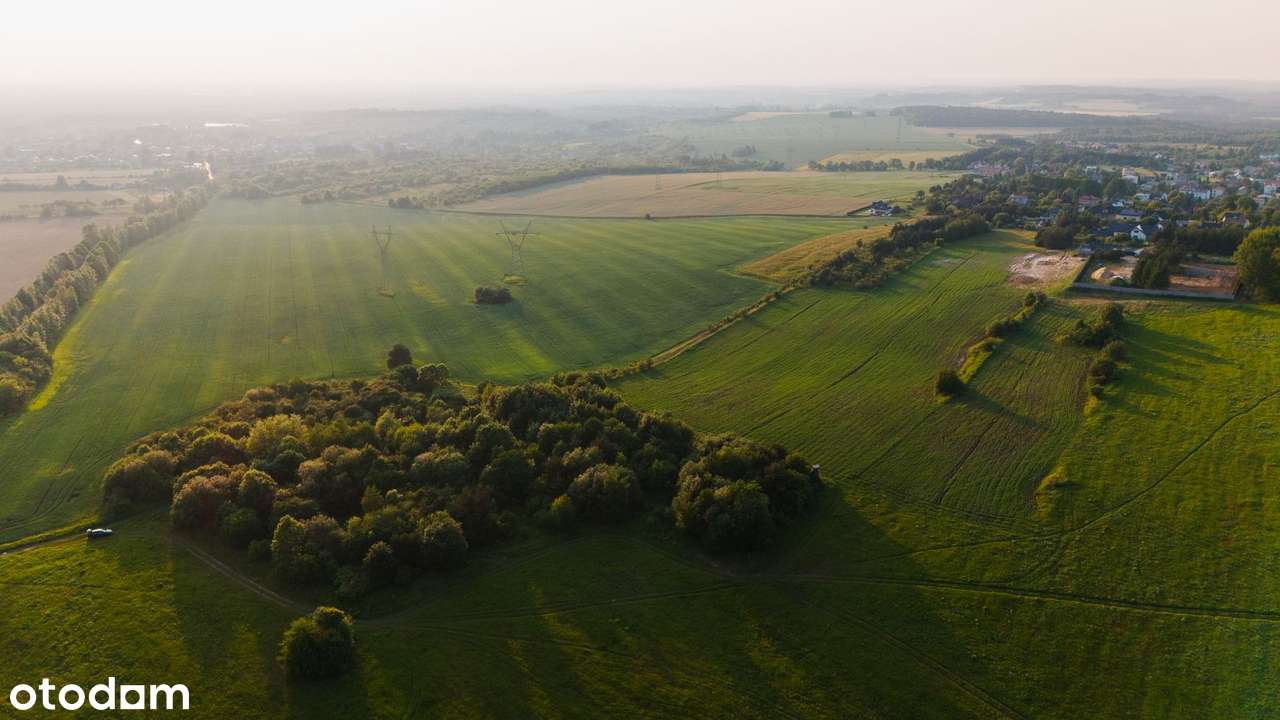 Ostatnia działka budowlana w lesie- 2173 m2 - k. Zamku Ogrodzieniec-10