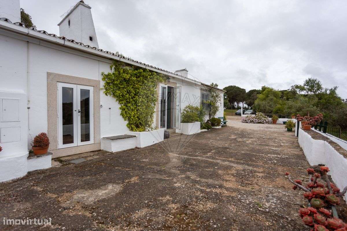 Quinta T8 para venda - Grande imagem: 5/26