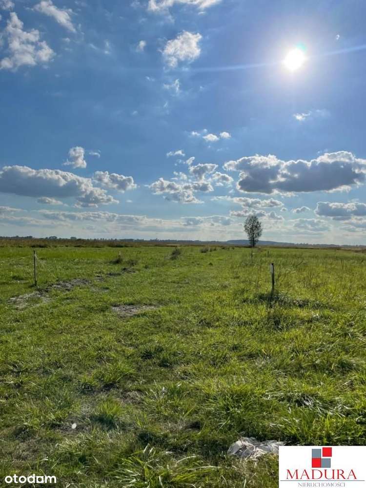 Miedwie-działka z gotowym zgłoszeniem na domek 35m - Pełny obrazek: 5/18