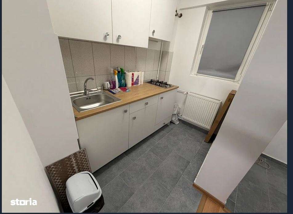 garsoniera colentina teiul doamnei obor-2