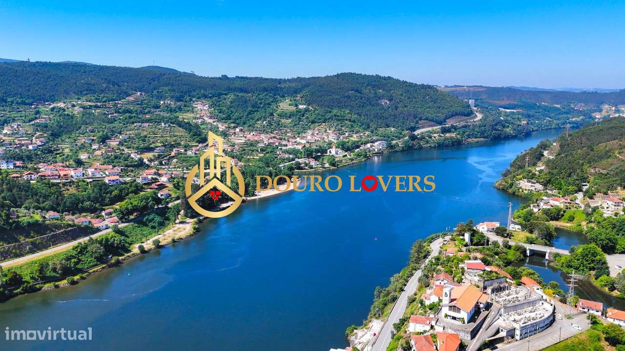 Terreno Florestal, Penafiel - Grande imagem: 3/13