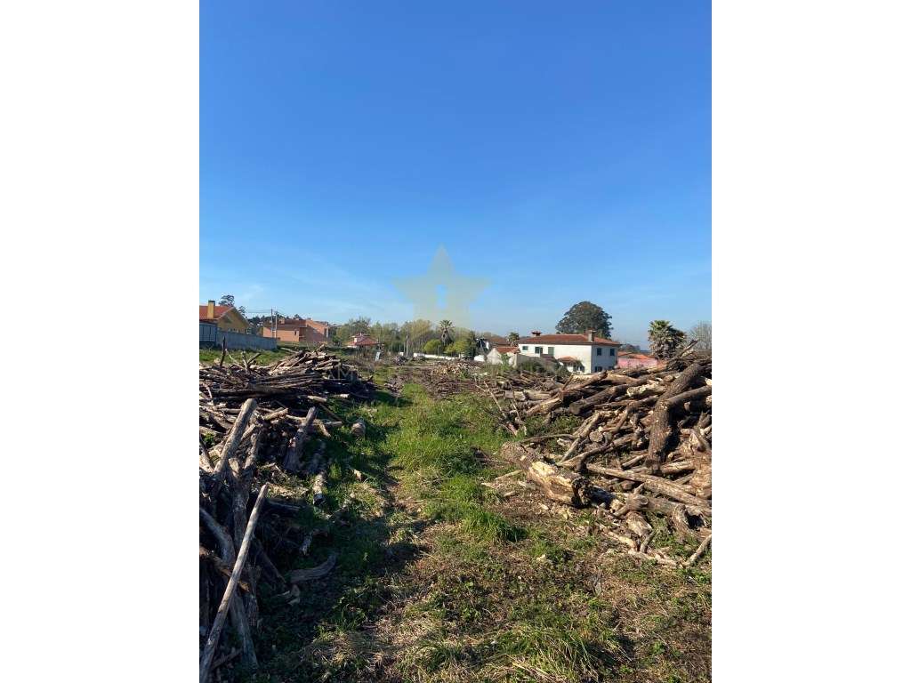Terreno para construção em Fiães - Grande imagem: 3/9