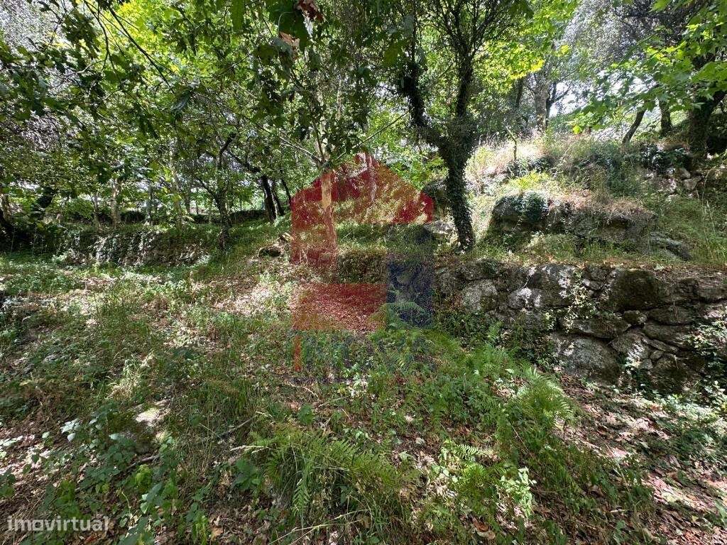 Terreno para construção, Valdosende - Grande imagem: 5/21