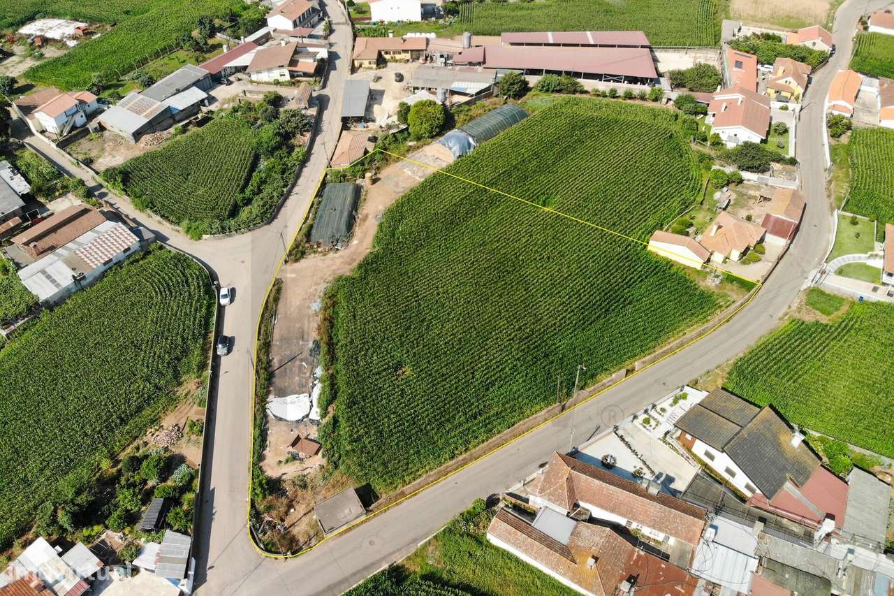 Terreno com Elevado Potencial para Investimento – Avanca, Estarreja-9