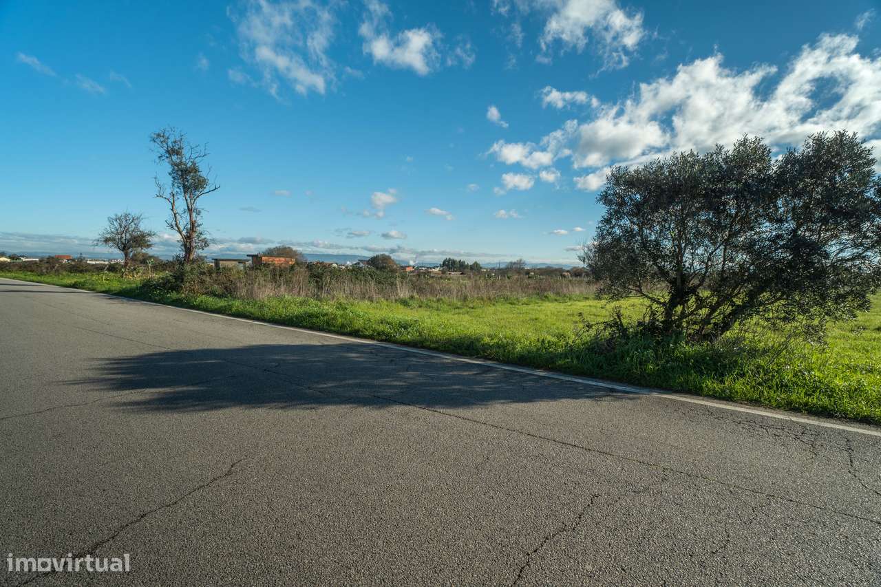 TERRENO–CACIA-AVEIRO - Grande imagem: 3/16