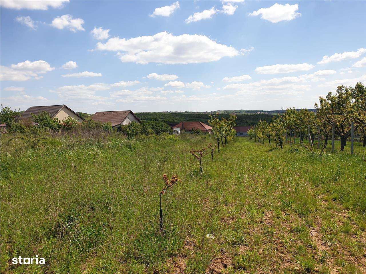 Teren intravilan in Saldabagiu de Munte - Imagine principală: 1/8