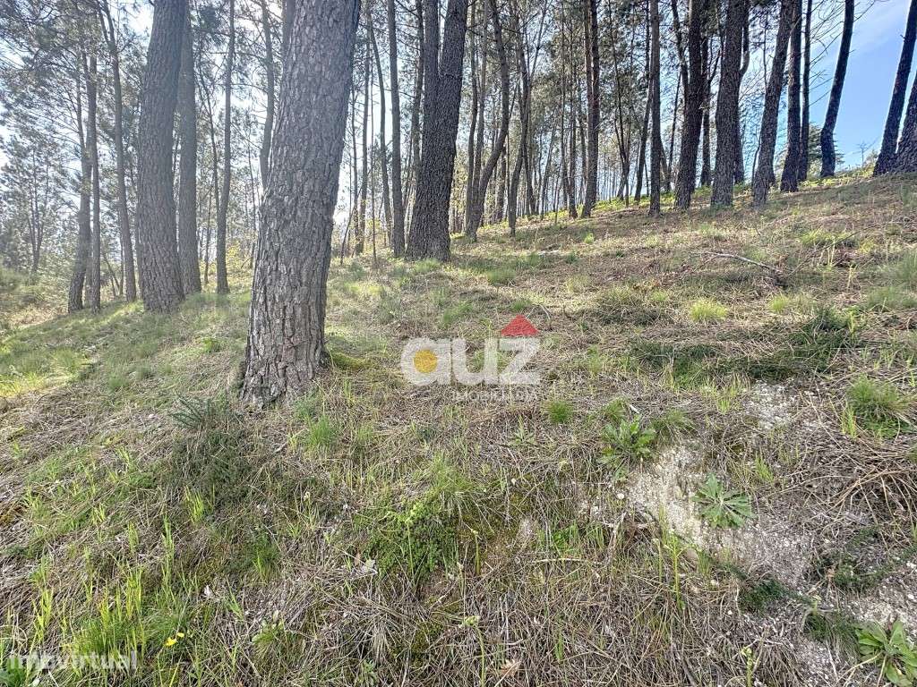 Terreno para construção - Grande imagem: 5/16