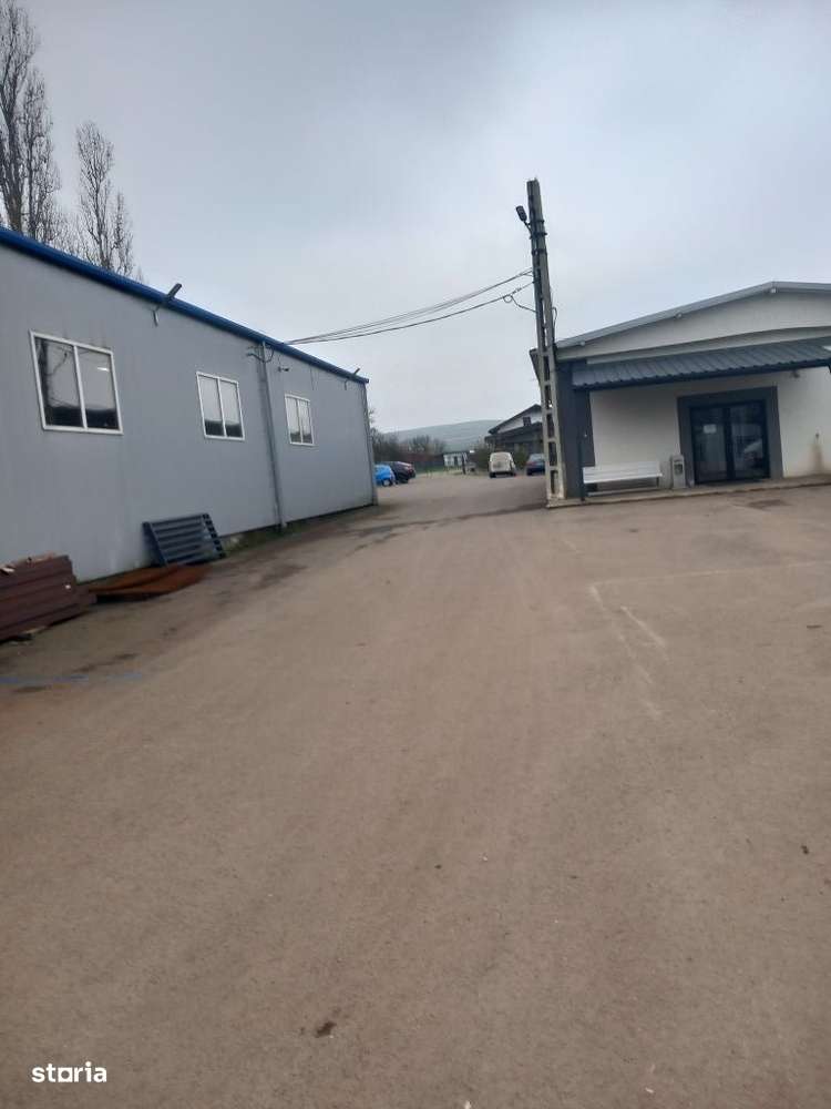 Hale de producție,parcare,casa ,lac, teren 10.000 mp ,Târgu Mureș - Imagine principală: 4/19