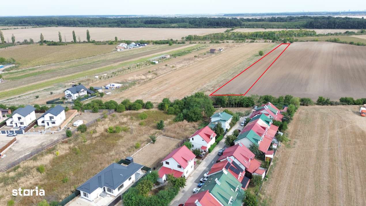 Teren intravilan 6000 mp Darza 13E/mp deal pentru case, ferma, product - Imagine principală: 2/7