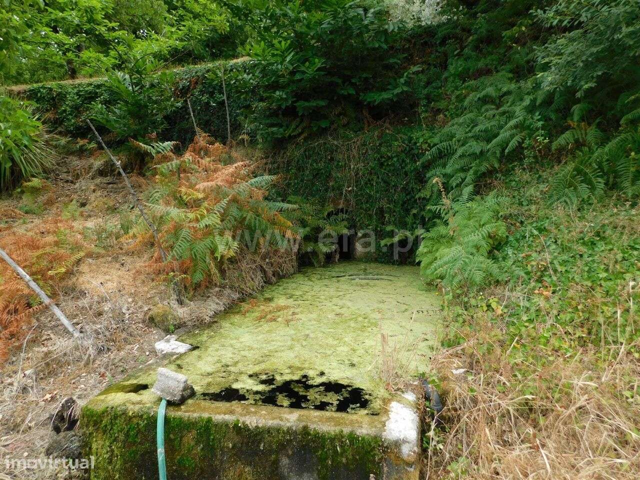 Quinta / Seia, Sandomil - Grande imagem: 4/20