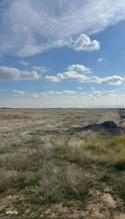 Teren 10000 mp - Albota Papillon, zona industriala in plina dezvoltare - Imagine principală: 2/3