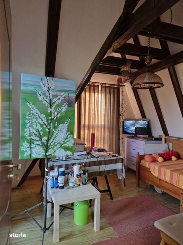 EXCLUSIV - Cafrom Imobiliare - SECIU-Vila de Vanzare-17