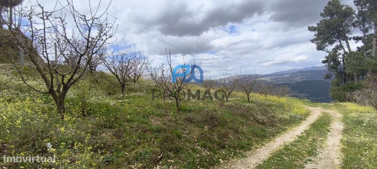 Terreno Urbanizável de 7959 m² com Armazém-32