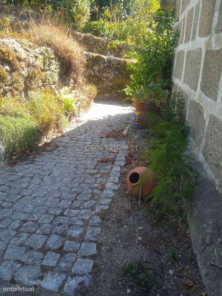 Quintinha - São Tomé de Covelas, Baião-12