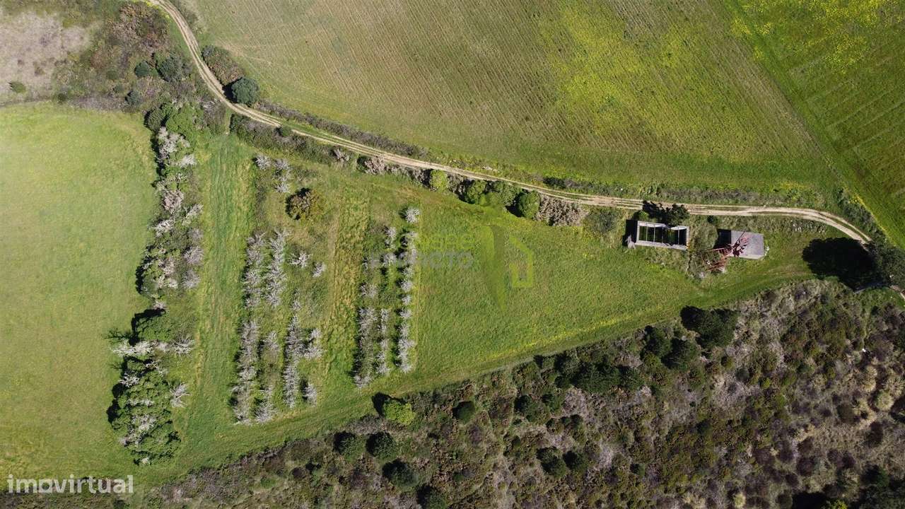 Terreno Rústico com Vista Mar e Serra – Sintra - Grande imagem: 5/14