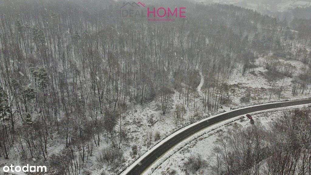 Sprzedam działkę z potencjałem - Faliszówka - Pełny obrazek: 4/5