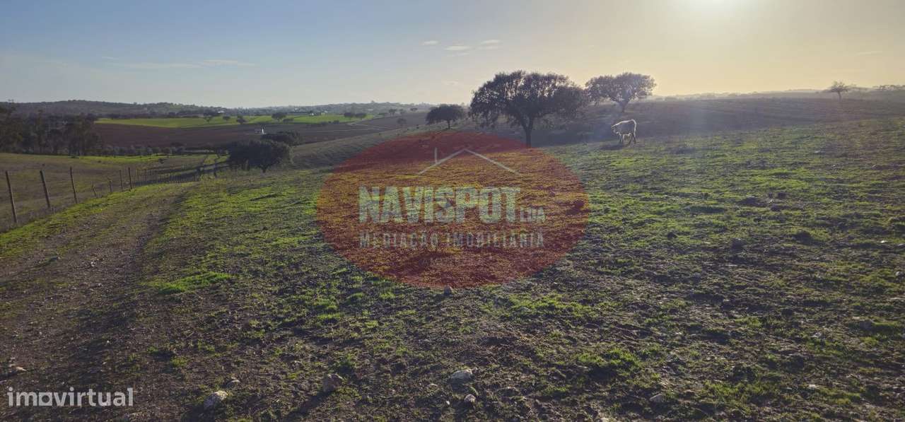 Herdade com 36 ha em Santo António do Baldio-6