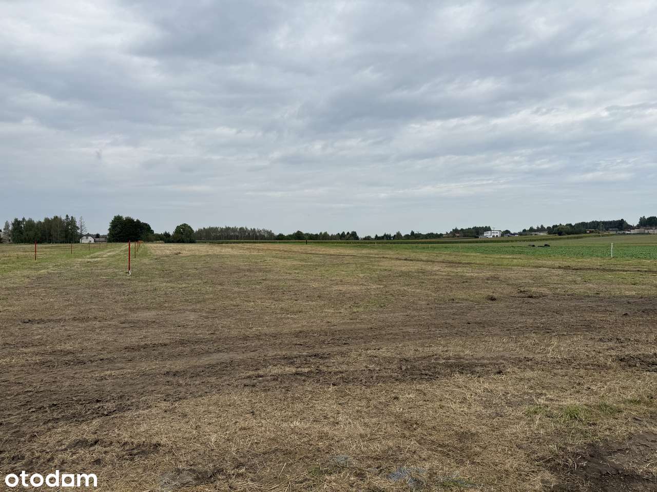 Działka budowlana Turza Śląska ul. Leśna - Pełny obrazek: 4/14