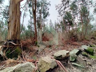 Terreno rustico em Silveiros-Barcelos