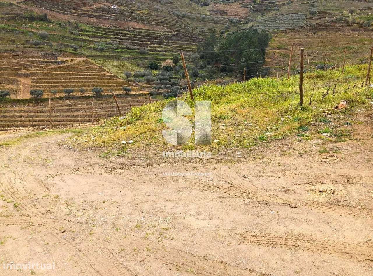 Terreno em Murça - Grande imagem: 5/31