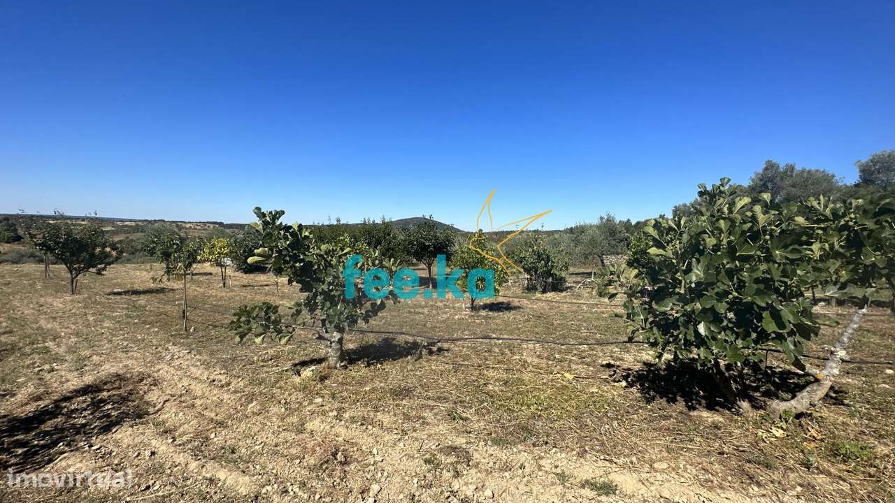 Quintinha em Monfortinho-31