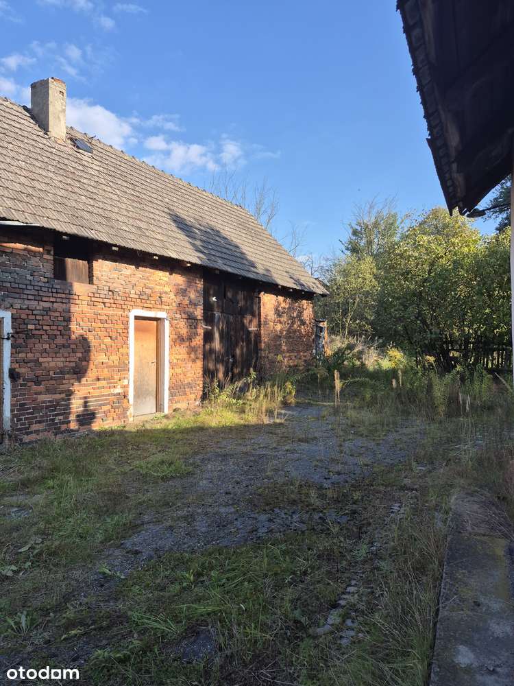 Duża działka z budynkami gosp. - Pełny obrazek: 5/8