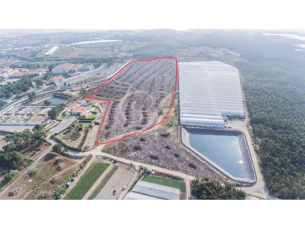 Terreno c/PIP aprovado na Praia de Santa Cruz - Torres Vedras - Grande imagem: 3/17