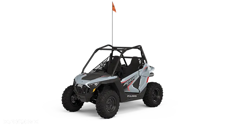 Polaris RZR - 9