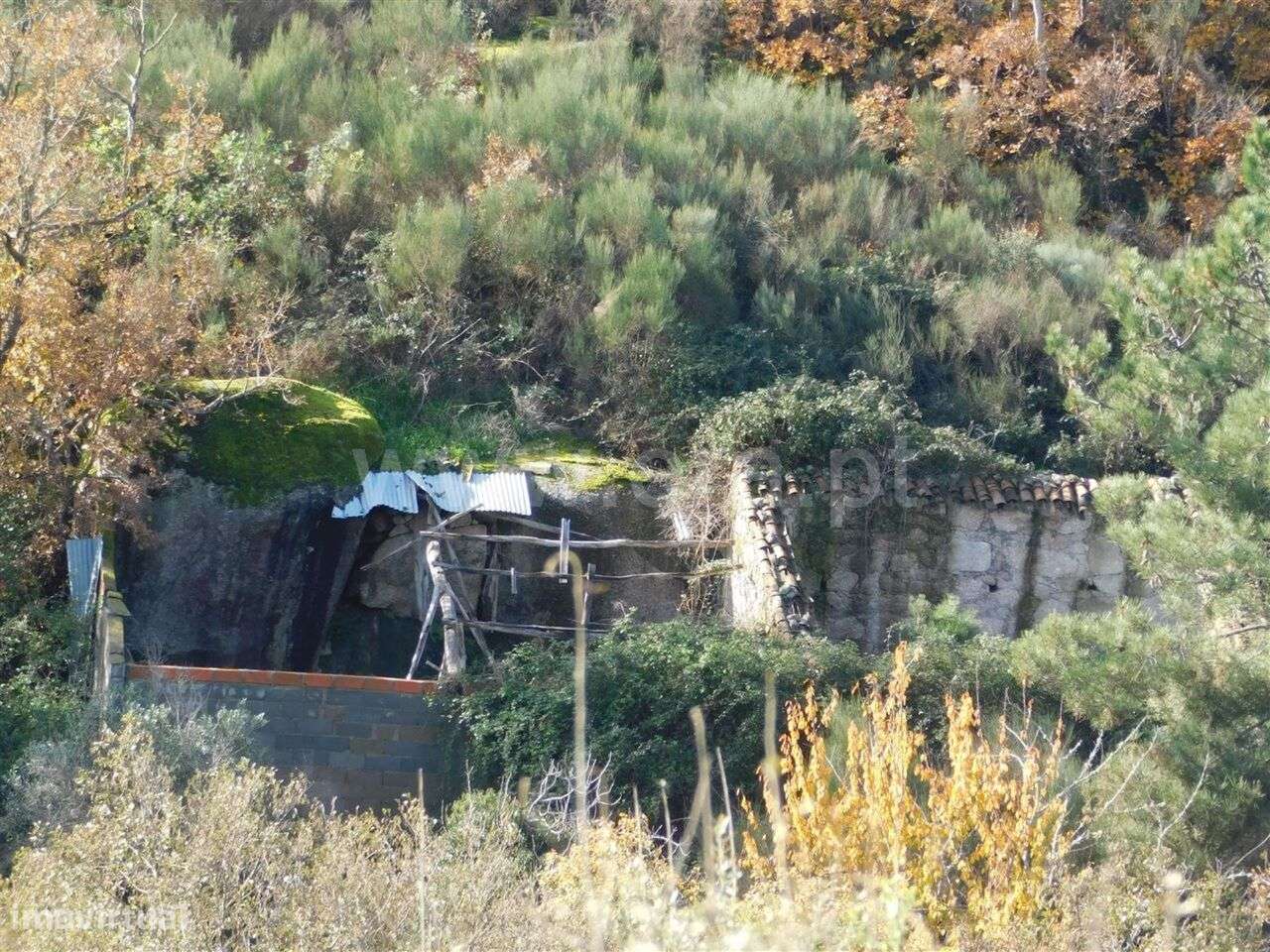 Quinta / Fundão, Vale Prazeres - Grande imagem: 4/10