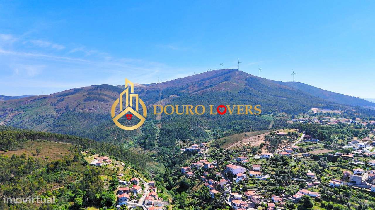 Terreno Florestal, Penafiel - Grande imagem: 4/13