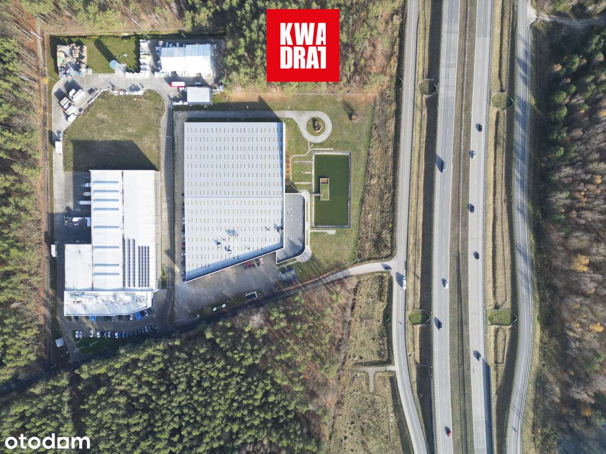 Investment Opportunity: Premium Industrial Complex-0