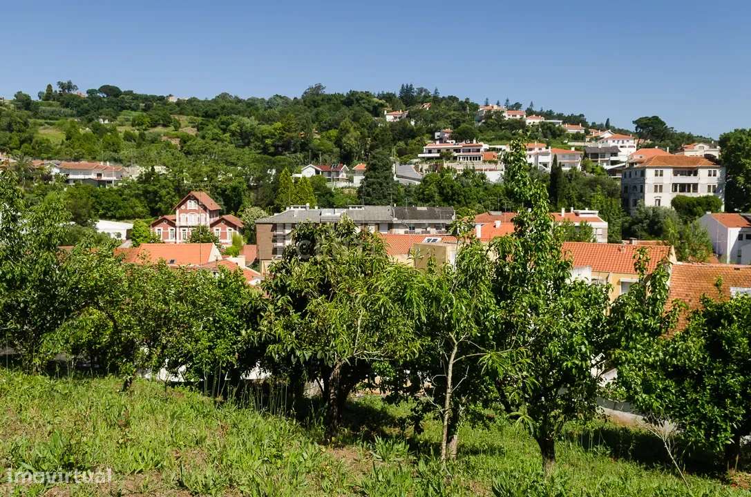 Prédio com Vista Panorâmica na zona Histórica de Alcobaça-14