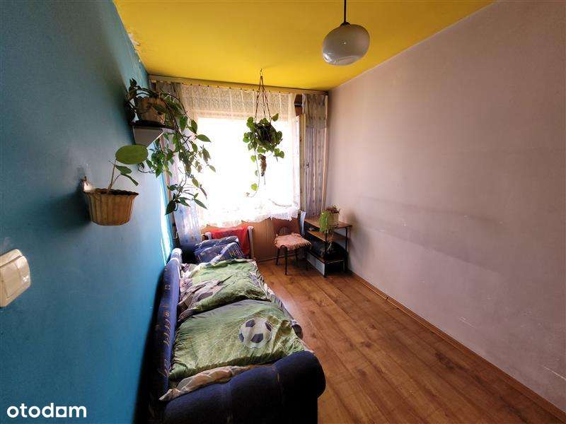 **M3*46m2 na Tysiąclecia**-5