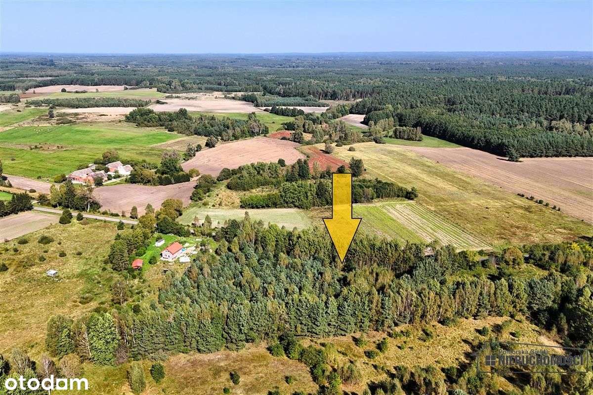 Duże działki w Krosinie, ok. 60 km od morza. - Pełny obrazek: 4/16