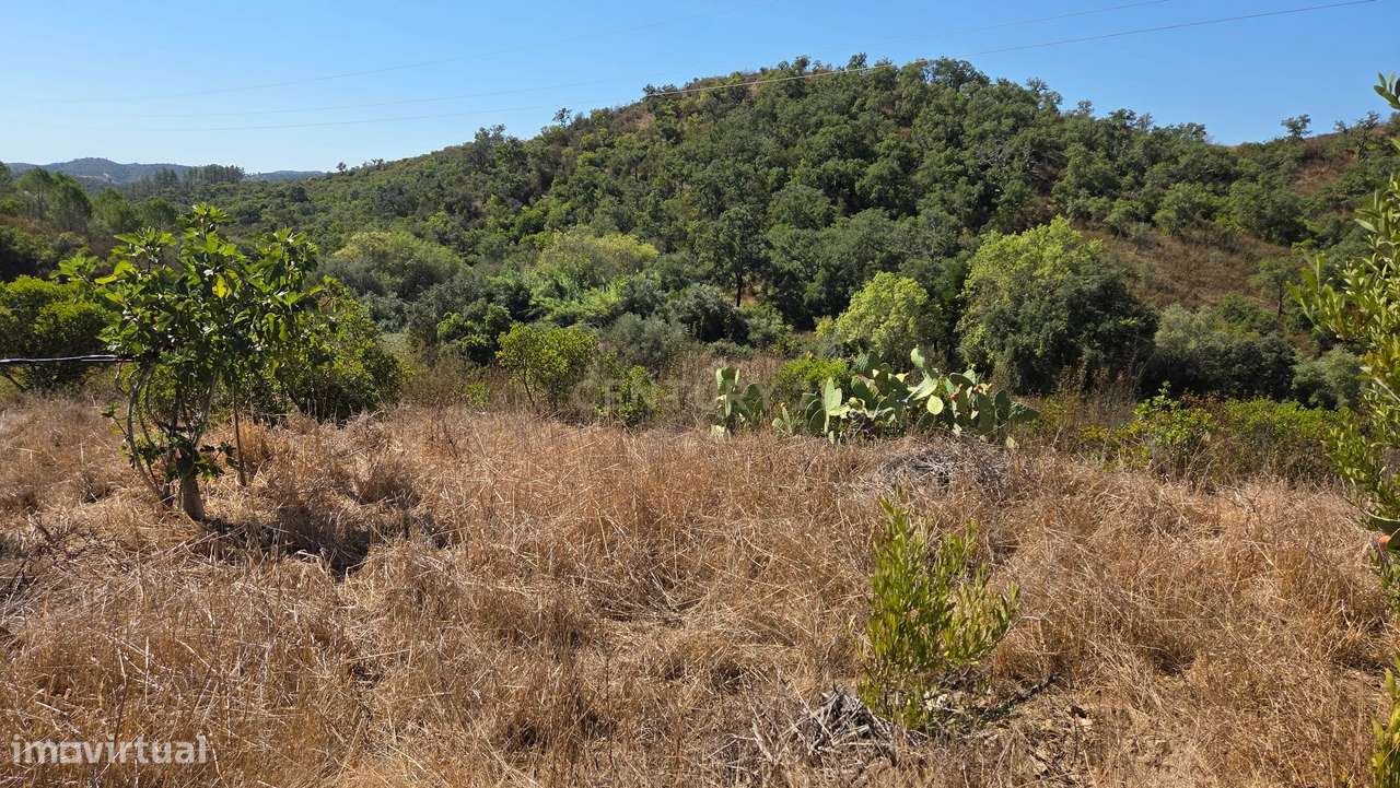 PROPRIEDADE COM 83.880 M2 EM SÃO MARCOS DA SERRA - Grande imagem: 5/15