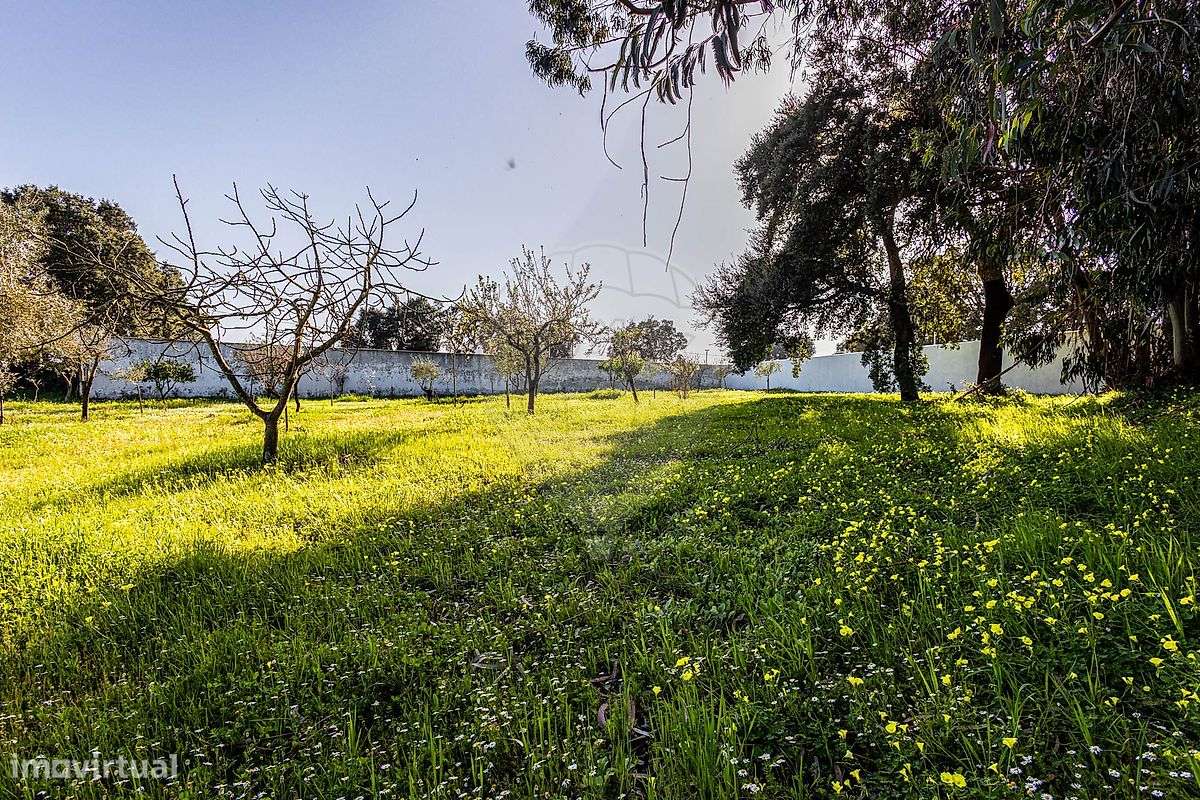 Terreno  para venda - Grande imagem: 5/35