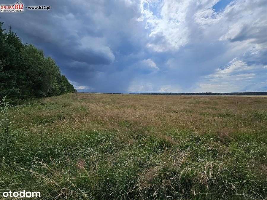 działka komercyjna z uregulowanym dojazdem - Pełny obrazek: 4/8