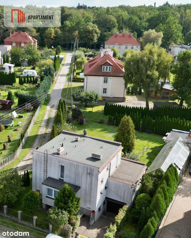 Tylko u nas! Dom, szklarnia, ogród, cisza - Pełny obrazek: 3/20