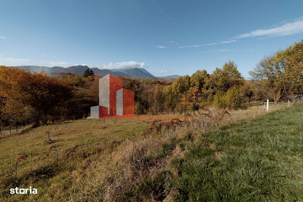 Casa de vacanta Bran -  Sohodol-19