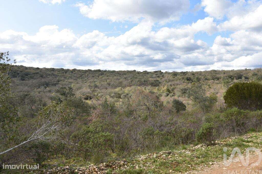 Terreno em Chãos de 13960,00 m2 - Grande imagem: 4/30