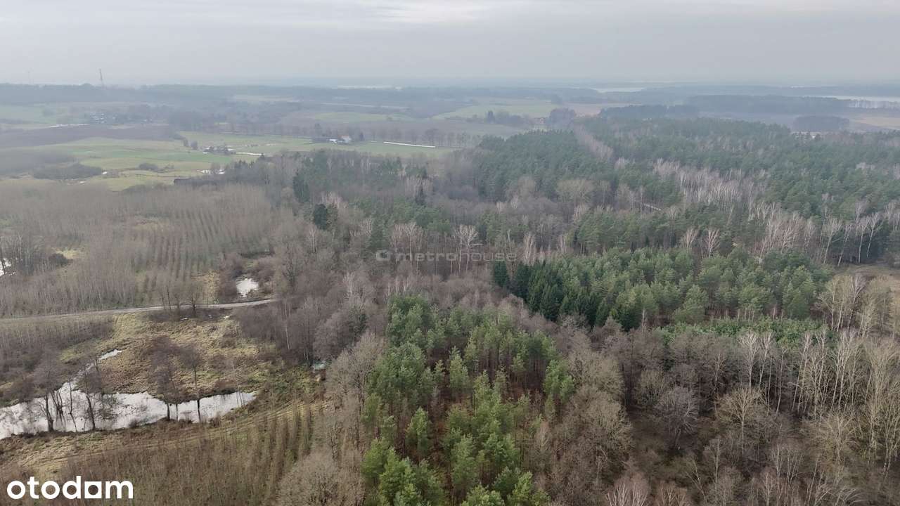 Działka leśna w otoczeniu parku krajobrazowego - Pełny obrazek: 4/10