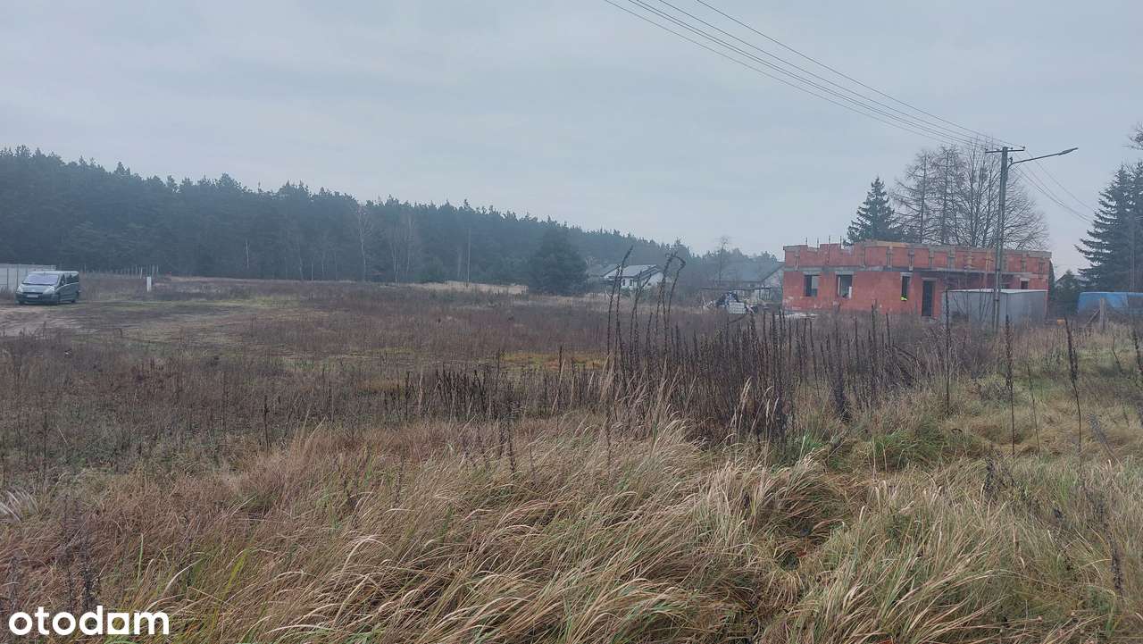 Działka z widokiem na las - Pełny obrazek: 4/4