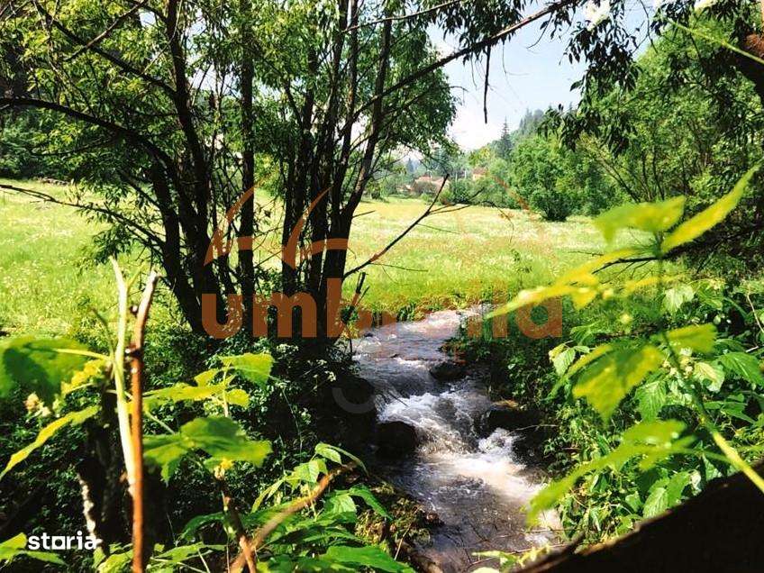 TEREN DE VANZARE 34.201m²20€ m² IN VARSAG HARGHITA - Imagine principală: 5/20