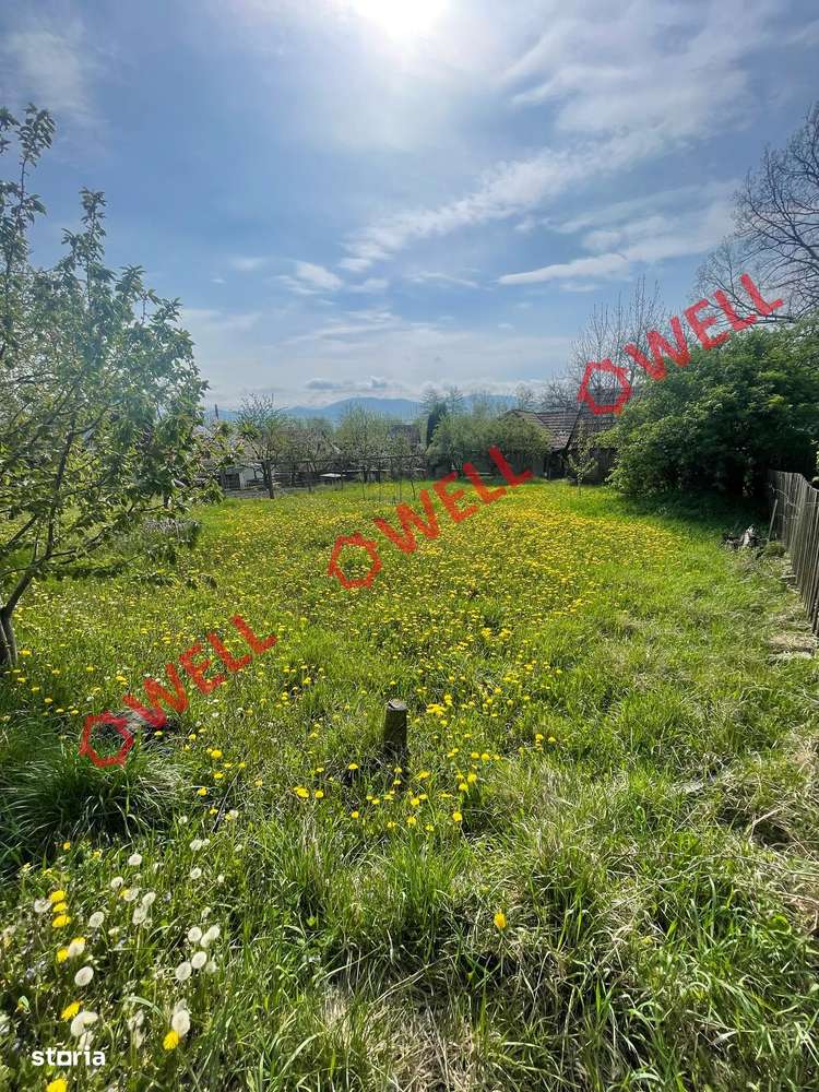 De vânzare casă de locuit în Lemnia! - Imagine principală: 3/13