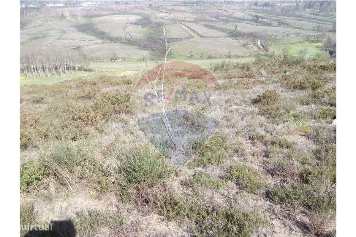 Terreno  para venda - Grande imagem: 5/8