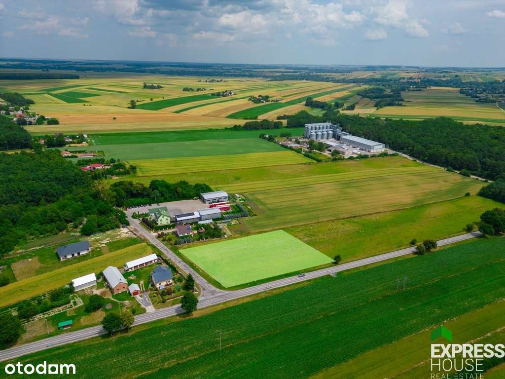 Działka MR/U, Droga wojewódzka - Pełny obrazek: 3/5