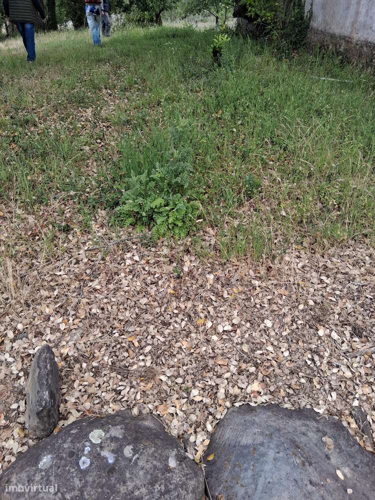 Moradia para Restaurar com Terreno Urbano – Cadaixo, Miranda do Corvo-39